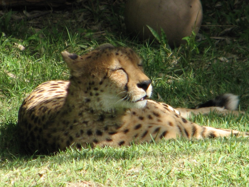 20100206 486.JPG